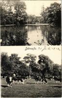 1912 Dénesfa, Grófi kastély, park, szarvasmarhák a legelőn (EK)