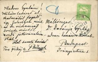 1914 Tass, Végh kastély. photo (EK)