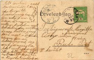 1907 Martonvásár, Dreher Antal kastélya. W.L. 1292. (EK)