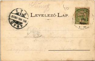 1905 Sümeg, Kisfaludy Sándor szobra, vár. Horvát Gábor kiadása (EK)