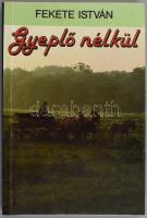 Fekete István: Gyeplő nélkül. Bp., 1990, Nesztor. Kiadói papírkötés, jó állapotban.