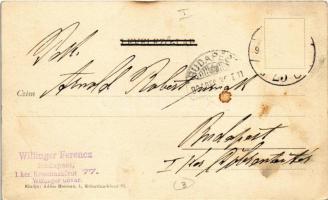 1905 Budapest I. Willinger Udvar, Szokolovits Gyula, Végh Lajos, Zabor és papírkereskedés üzlete. Kr...