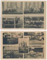 1952 Budapest, Országos Állattenyésztési Kiállítás - 2 db modern Művészeti Alkotások képeslap