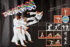 2 db harcművészeti plakát: Taekwon-do, Harmat László 4 dan taekwon-do mester + Kyokushinkai karate, IBUSZ-Oyama Kupa 1983, Bp., MAHIR, feltekerve, 97x67 cm