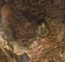 Ezüst (Ag) tálca 362 g 34x25 cm