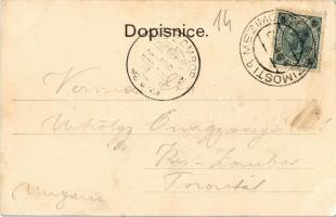 1904 Veselí nad Luznicí, Riegrova trida / street view, church (EK)