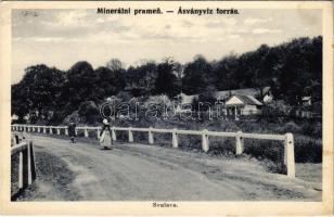 Szolyva, Svalava, Svaljava, Szvaljava, Svaliava; Ásványvíz forrás. Bodek és Morvay kiadása / Minerálni pramen / spa, mineral spring source (EK)