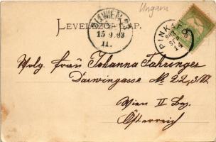 1903 Pinkafő, Pinkafeld; látkép. Verlag Carl Strobl / general view (EK)