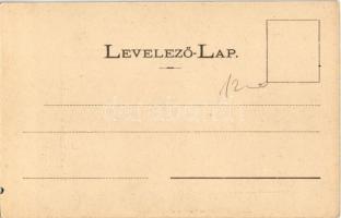 Rónaszék, Rohnen, Costiui; látkép a kincstári vendéglővel. Kaufman Ábrahám kiadása / general view, r...