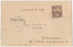 1901 Nagyvárad, Oradea (?); látkép. Kézzel festett művészlap / general view (vágott / cut)