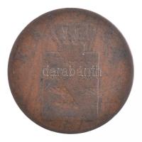 Német Államok / Szászország 1851F 2pf Cu T:2- patina
German States / Saxony-Albertine 1851F 2 Pfenn...