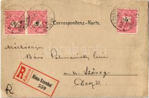 1898 (Vorläufer) Rimaszombat, Rimavská Sobota; villa. Art Nouveau, floral. photo (r)