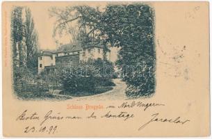 1899 (Vorläufer) Brogyán, Brodzany, Brodany; Kastiel / Schloss Brogyán / Brogyán kastély. Platzko Gyula / castle (EK)