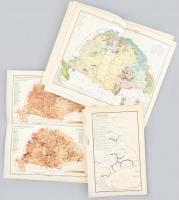 Magyarország történelmi, földrajzi, népességi, stb. térképei, 13 db melléklet a Pallas Nagy Lexikonából, különböző méretben és állapotban