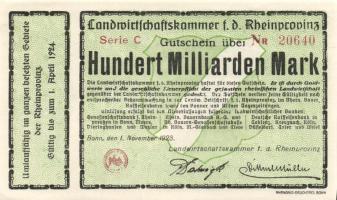 Német Birodalom/Weimari Köztársaság/Bonn/Landwirtschaftskammer 1923.11.1. 100.000.000.000 T:I