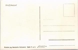 Bánffyhunyad, Huedin; Fő tér, Szálloda a Tigrishez, piac / main square, hotel, market