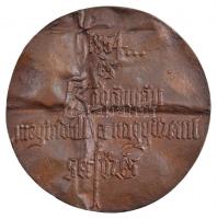 Rácz Edit (1936-) 1973. "Söripari emlékplakett / 1854... és Kőbányán megindult a nagyüzemi serf...