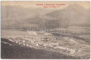1909 Rózsahegy, Ruzomberok; Magyar Textilipar rt. fonógyára. Eichler József kiadása / spinning mill of the Hungarian Textile Industry, factory (Rb)