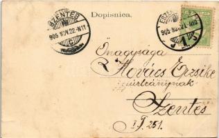 1905 Eszék, Essegg, Osijek; Sokcevicev Spomenik / emlékmű / monument