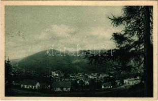 1927 Trencsénteplic, Trencianske Teplice; látkép / general view (vágott / cut)