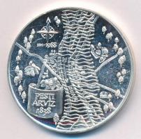 Fritz Mihály (1947-) 1988. "MÉE - A nagy árvíz emlékére - Wesselényi Miklós / Pesti árvíz 1838&...