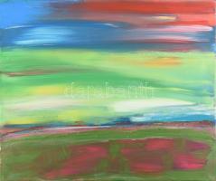 Samu Hajnalka (?-): Szellő a tavaszi réten. Akril, vászon. Jelzett a hátoldalán. 46x55 cm