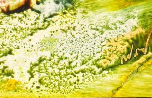 Ruttka Ferenc (1926-2019): A szépség elmúlása. Olaj, papír, jelezve jobbra lent, hátoldalán a művész...