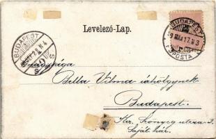 1899 (Vorläufer) Erzsébet királyné (Sissi) gyászlapja 1837-1898 / Obituary card of Empress Elisabeth...