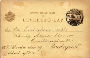 1899 (Vorläufer) Budapest I. Ezredéves Országos Kiállítás, Királyi vár, Mátyás templom, Szent István...