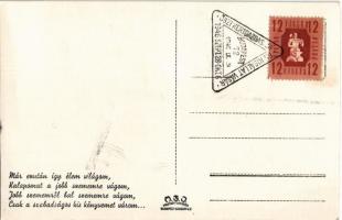 Már ezután így élem világom... Magyar folklór / Hungarian folklore art postcard + "Őszi kertgaz...