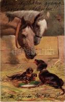 1908 Dachshund dogs with horses. B.K.W.I. 495-2. (EK)