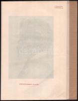 Székely Aladár: Írók és művészek. ~ fényképei. Ady Endre és Ignotus előszavával. Első sorozat. [Unic...