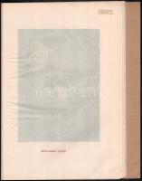 Székely Aladár: Írók és művészek. ~ fényképei. Ady Endre és Ignotus előszavával. Első sorozat. [Unic...