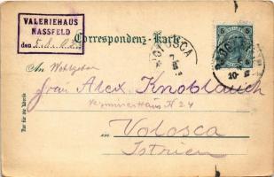 1903 Bad Gastein, Erzherzogin Marie Valerie Schutzhaus am Nassfeld bei Badgastein / chalet, tourist ...