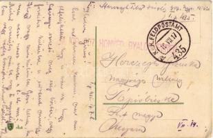 1917 Flowers. G.O.M. 1818. s: C. Klein + "M. kir. 307. honvéd gyalogezred" (lyukak / pinho...