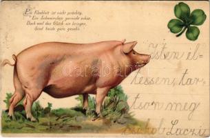 1899 (Vorläufer) Eine Kleeblatt ist nicht prächtig... / New Year greeting art postcard with pig and clover. litho (EK)
