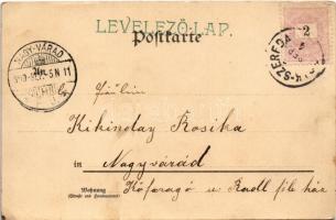 1899 (Vorläufer) Eine Kleeblatt ist nicht prächtig... / New Year greeting art postcard with pig and ...