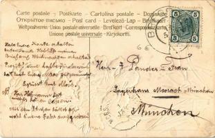 1905 Herzlichen Glückwunsch zum neuen Jahre / New Year greeting art postcard with flowers. Emb. lith...