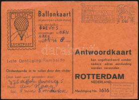 Hollandia 1946
