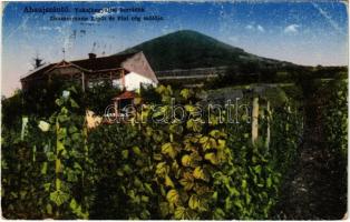 1936 Abaújszántó, Tokaj-hegyaljai borvidék, Zimmermann Lipót és fiai cég szőlője (fl)