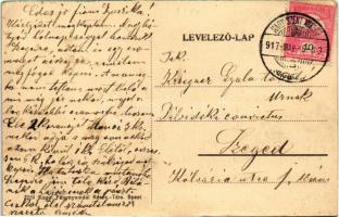 1917 Nagyszentmiklós, Sannicolau Mare; Gróf Nákó Sándor kastély / castle (EK)