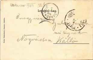 1904 Gödöllő, Királyi park. Nemesánszky Józsefné kiadása