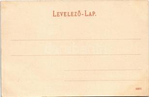 Komárom, Komárnó; Ferenc József rakpart, piac / quay square, market