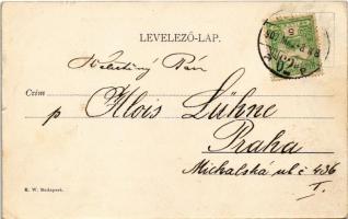 1907 Budapest XIV. Városliget, Műcsarnok, villamosok