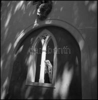 cca 1993 előtt készült akt felvételek, Menesdorfer Lajos (1941-2005) budapesti fotóművész hagyatékáb...