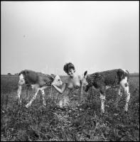 cca 1993 előtt készült akt felvételek, Menesdorfer Lajos (1941-2005) budapesti fotóművész hagyatékáb...