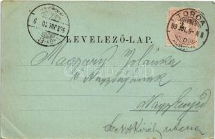 1899 (Vorläufer) Torda, Turda; látkép madártávlatból / general view (EK)