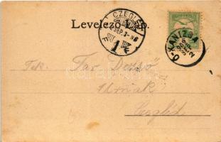 1902 Magyarkanizsa, Ókanizsa, Ó-Kanizsa, Stara Kanjiza; Országút, Hajóhíd, Népkert, vigadó. Bruck P....