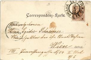 1899 (Vorläufer) Praha, Prag; Letohrádek Hvezda / Stern / Summer Pavilion. Art Nouveau, floral (EK)