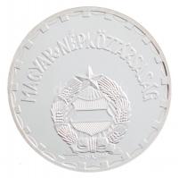 1970. 2Ft Ag jelzett replika (3,12g/0.999) T:PP patina